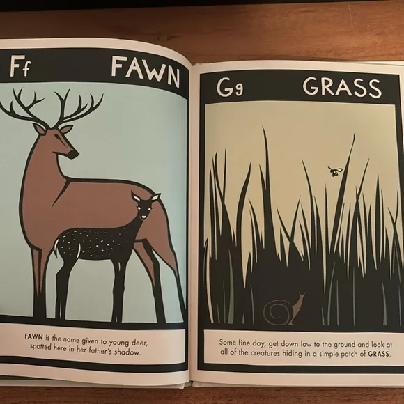 B is for Bear by Hannah Viano alphabet book PNW - Picture 6 of 8